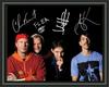 Red Hot Chilli Peppers - Plakat ze zdjęciem A4 z podpisem