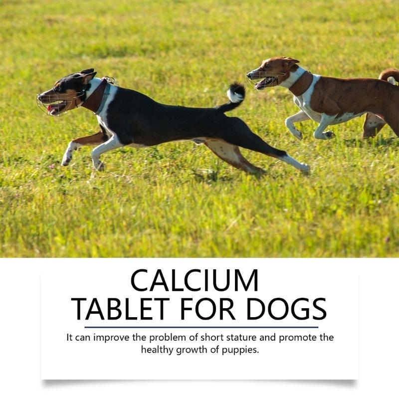 Dog Calciums Supplement Tablets 80Counts Joint Support Supplement Bone Health Improvement for Various Breeds Dogs