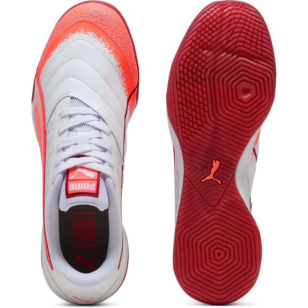 Puma Ibero IV_10829301_280