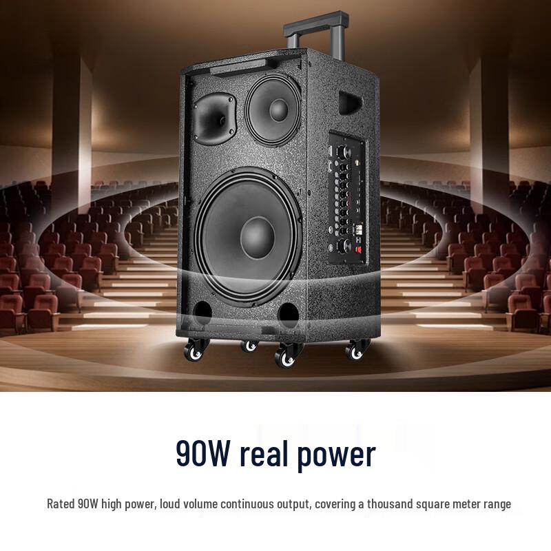 SAST Portable Trolley Speaker with Dual Microphones CN plug (adapter included) (CN version)