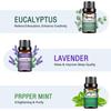PHATOIL 10 ml ätherisches Lavendel-Eukalyptus-Öl, gesund, beruhigend, Luftreiniger, natürliche Pflanzentherapie, Aromatherapie, Diffusor, Luftbefeuchter, Massage