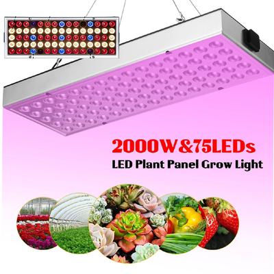 200W Vollspektrum Pflanzenbeleuchtung Wachstumslampen LED Grow Light Fitolampy für Pflanzenzucht
