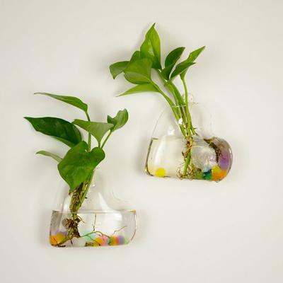 Hängende Glasvase Glas-Terrarium-Vase für Hydrokultur-Garten