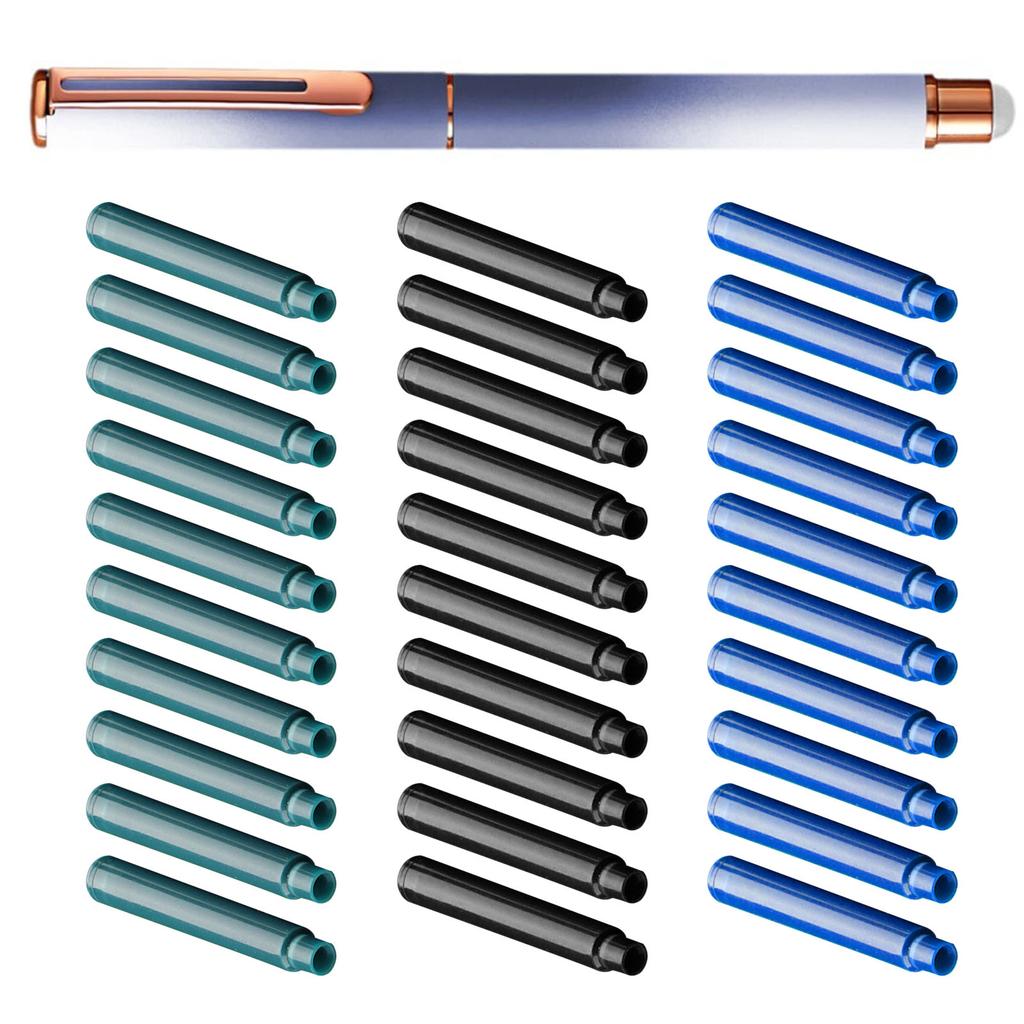 Metal Fountain Pen and 30 Inks Sac Set 0.38mm Tip Erasable for Beginner Student Adult Handwriting Drawing Journaling