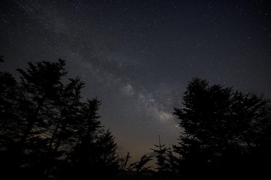 SIGMA 14mm DG HSM Lens for Sony Artificial Mirrorless Camera F1.8 E-Mount, Wide-Angle, Starburst, Full-Frame, Lens,