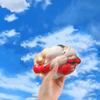 TPR Cartoon Fidget Toy Kneading Noisy Ball Pinch Toy Christmas Squeeze Toys  Xmas Party Favors