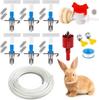 Breeding Waterer Drinking Fountain For Pet Care As Shown Continuous Water Circulation Continuous Water Circulation