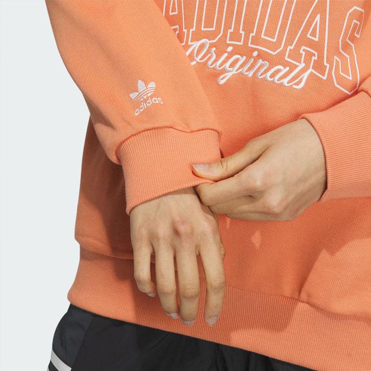 Adidas Originals Trefoil Sportswear Hoodie With Letter Logo Pattern Women Tops Pale-Khaki-Brown IW9413