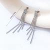 European and American style fringed long earrings, earrings, light luxury earrings for women