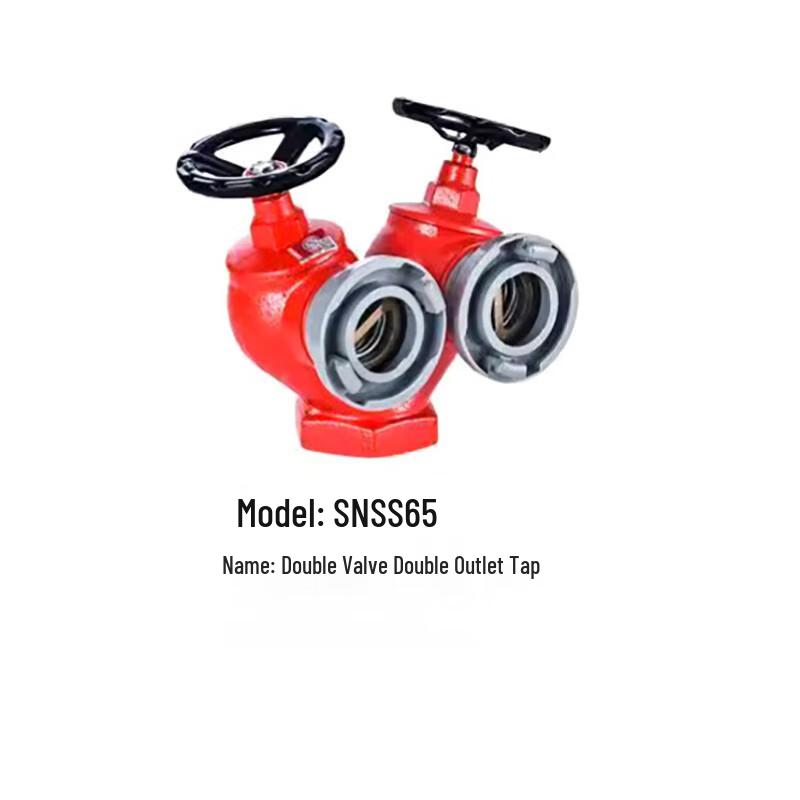 Brangdy Double Valve Double Outlet Indoor Fire Hydrant Standard