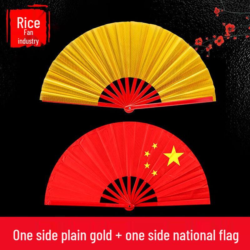 LIEI Tai Chi Kung Fu Fan