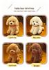 Cute Realistic Husky and Pomeranian Dog Plush Figurine Dolls