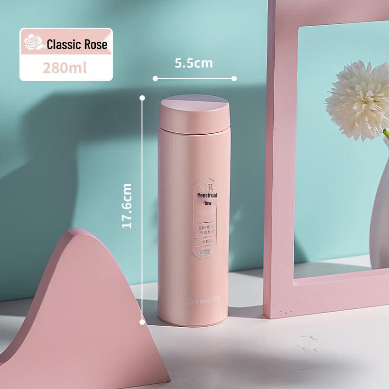 FUGUANG Tea Master 316 Stainless Steel Insulated Cup 280ml