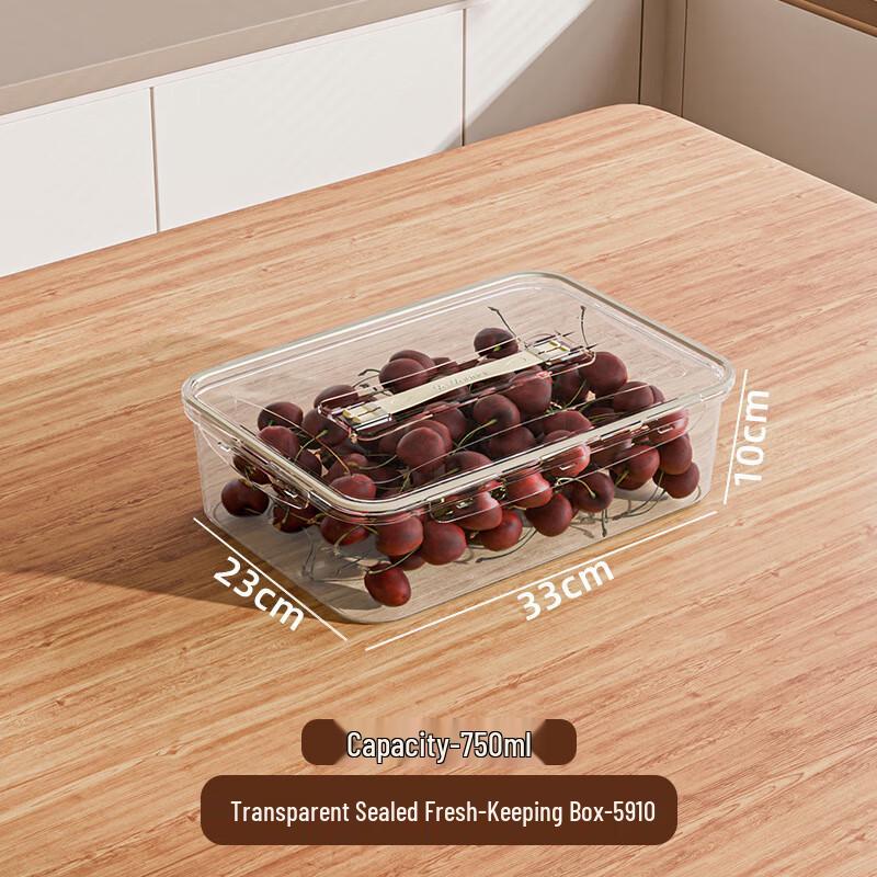 EWIGER STERN Refrigerator Food Storage Container