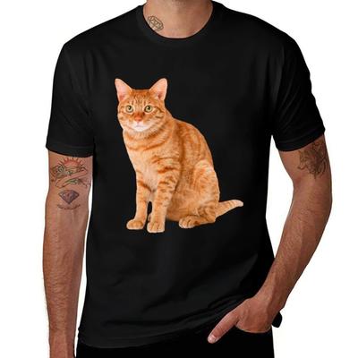 Orange Tabby Cat T-Shirt Basic Plain Short Sleeve Crew Neck Tee