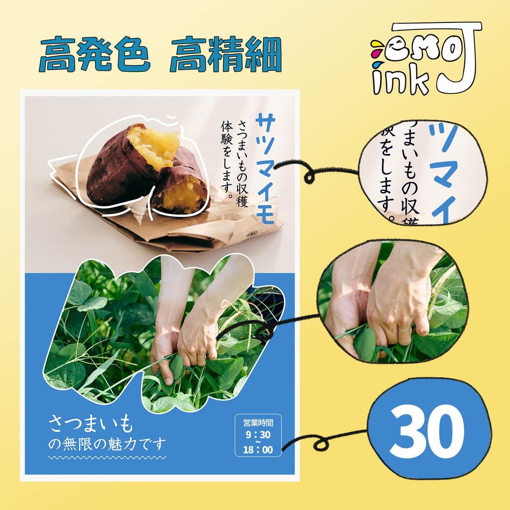 Emojink Ink Cartridges for N21 Compatible with Canon and XK500 Compatible with Genuine Instructions Level Indicator XKI-N20/N21 Canon, Compatible,