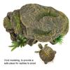 Reptile – Îngrijirea reptilelor