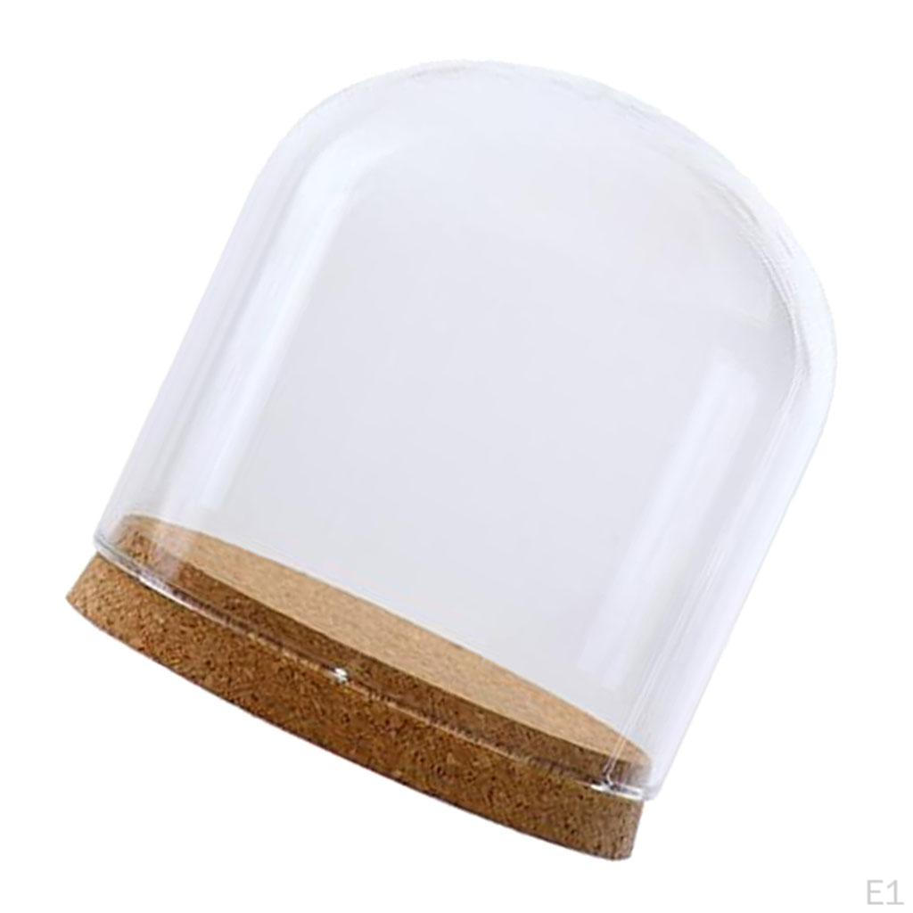 Cloche Bell Jar with Wooden Cork Base Wedding Christmas