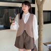 Plus Size Women's V-neck Hollow Out Sleeveless Tops Early Autumn Loose Knit Vest