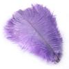 25-30Cm Colorful Ostrich Feathers, Wedding Table Flower Decoration, Wedding Decoration, Stage Performance Props Diy Jewelry