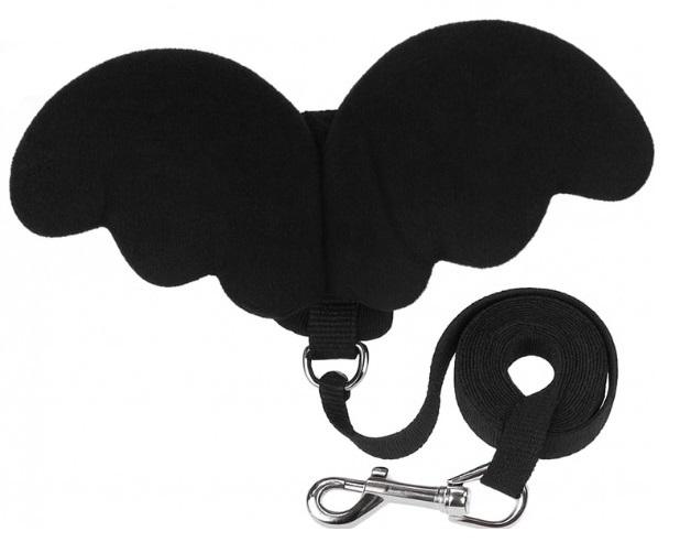 Harness with wings for small dogs and cats with a leash S 2-3.5 kg (black)