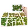 5mm Irregular Grass Miniature Landscape Lawn Model Building Sand Table Turf  Building Models