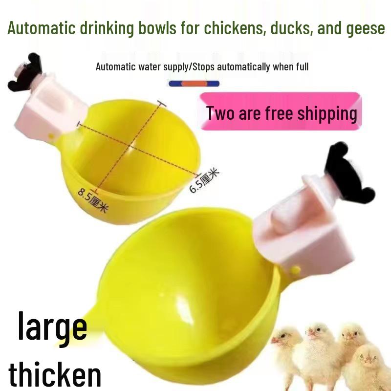 Poultry Automatic Drinking Bowl for Pigeons, Chickens, Ducks, and Geese