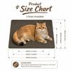 Absorbent Entryway Rug Cat Printed Home Floor Mat Cute Diatomite Door Mat  Porch