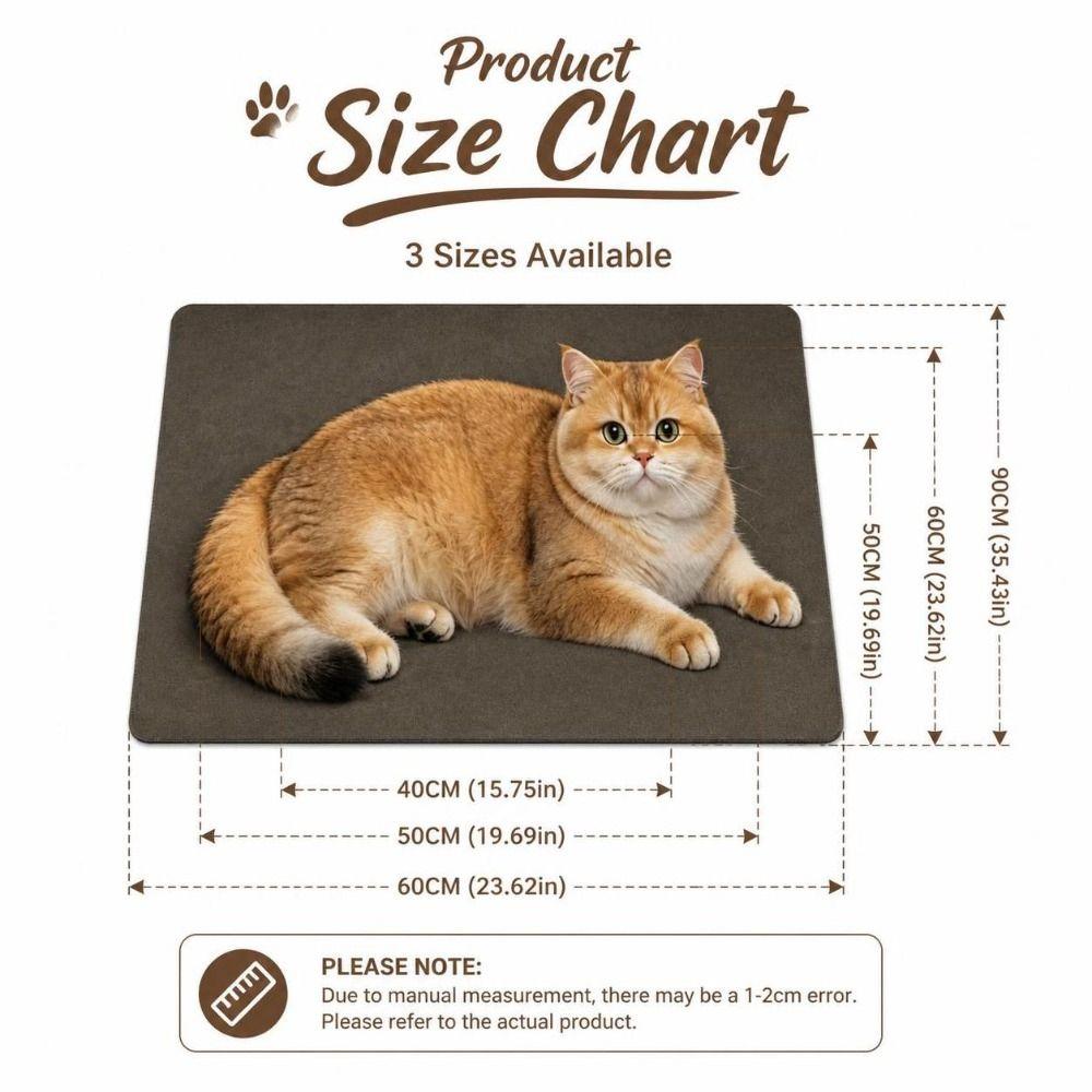 Absorbent Entryway Rug Cat Printed Home Floor Mat Cute Diatomite Door Mat Porch