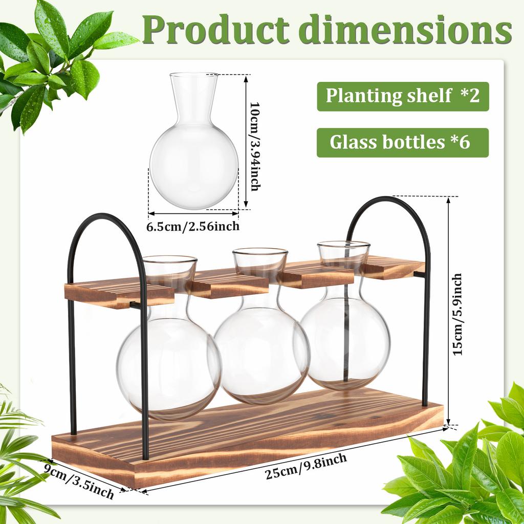 2 Stück Pflanzen-Terrarium Glasvase mit Holzständer zur Vermehrung Kleine Hydrokulturpflanzen Heim-/Büro-Schreibtischdekoration