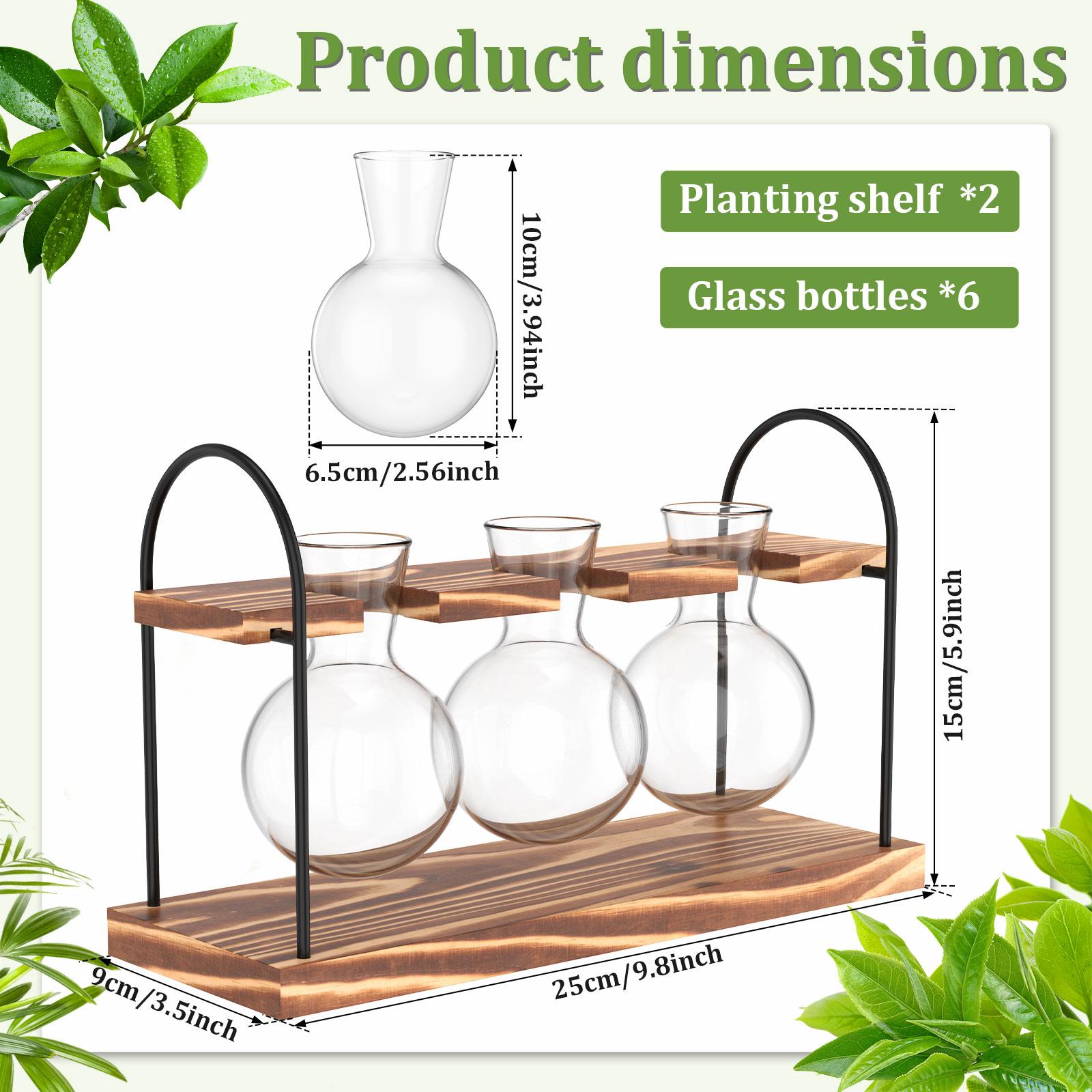 

2Pcs Plant Terrarium with Stand Transparent Plant Terrarium Glass Vase Decorative Tabletop Propagation Station Garden Accessory