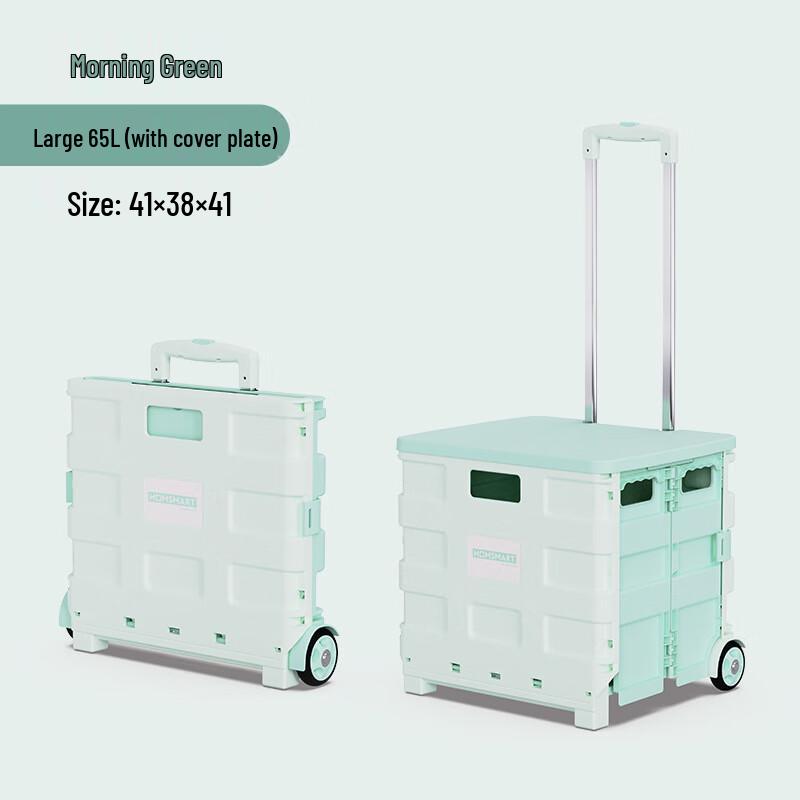 Portable Folding Two-Wheel Plastic Shopping Cart