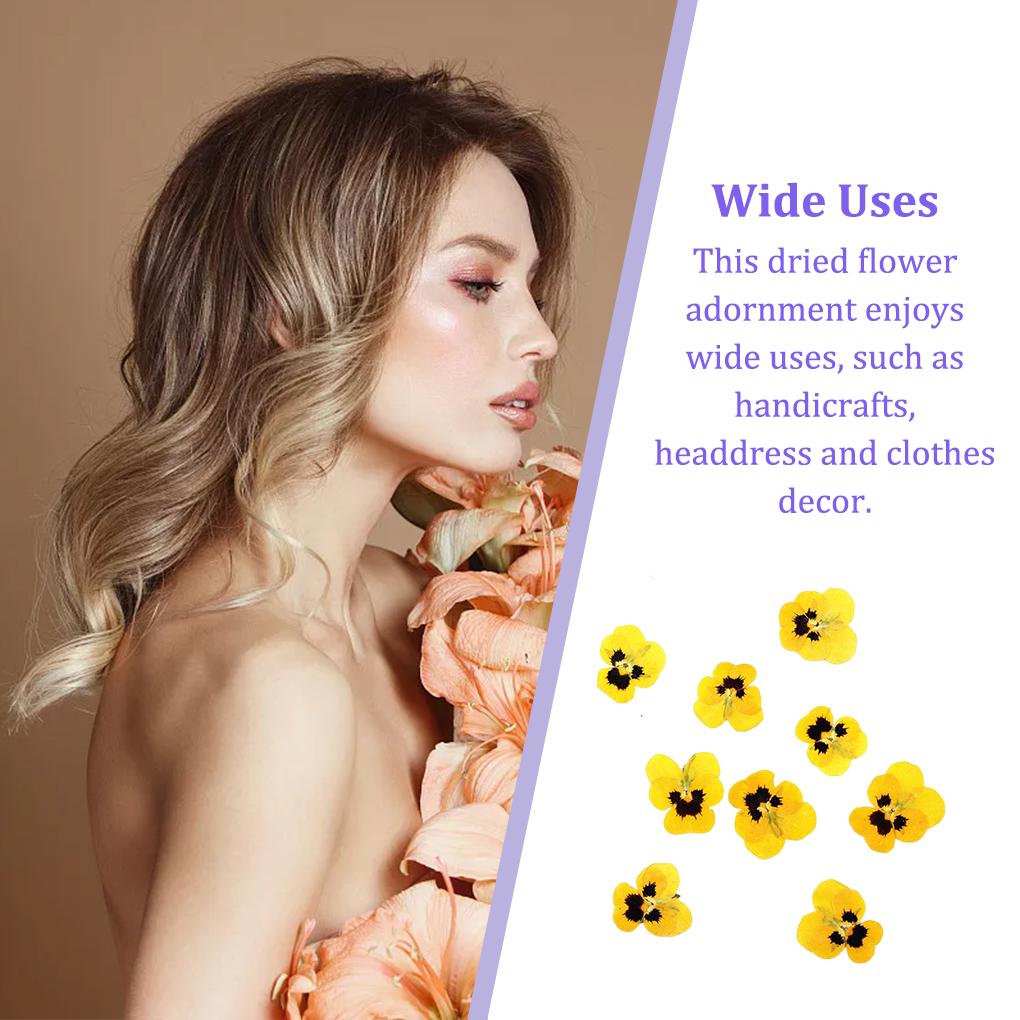 12 Piezas Manualidades Estilo Simple Hacer Accesorios Maquillaje Adorno Flor Prensada Manualidad Joyería Decoración Accesorio