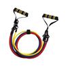 Body Sculpture Rubber Fitness Resistance Band Set