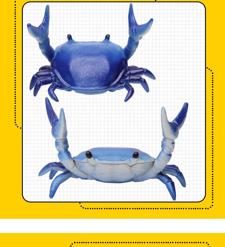 Ahnitol Japanese Design Weightlifting Crab Pen Holder and Storage Stand