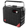 Malata Y6 Pro Portable Bluetooth Karaoke Speaker (CN Version)