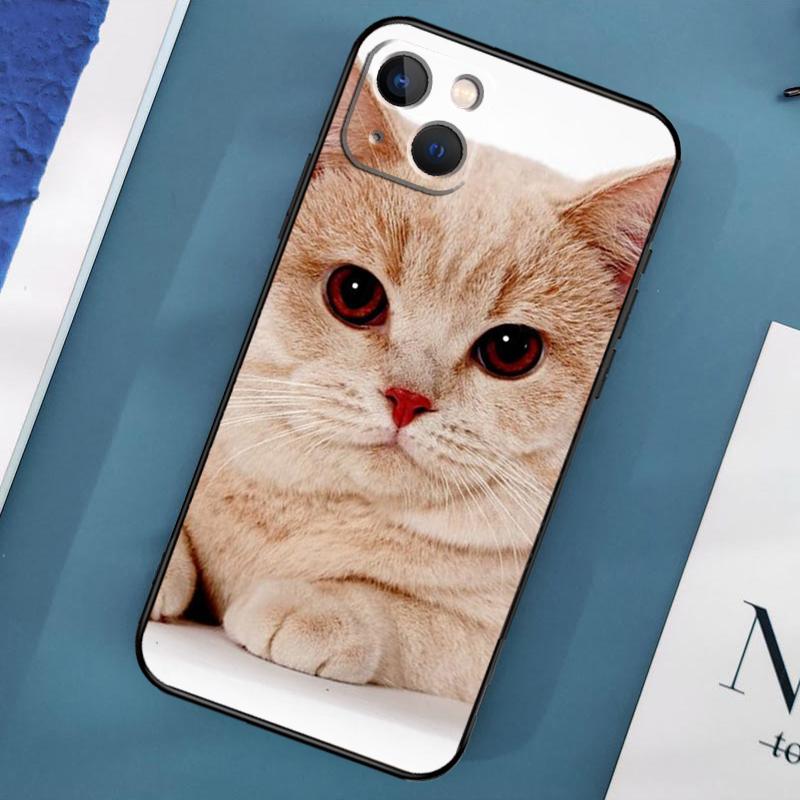 Etui z brytyjskim krótkowłosym kotem na iPhone'a 15 14 13 12 11 Pro Max XS X XR SE 2020 2022 7 8 Plus 12 13 Mini