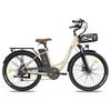 FAFREES F26 Lasting Electric Bike 36V 20.3Ah Battery, 250W Motor, 80-100KM Range, 26*1.95 Inch Tires E-Bike