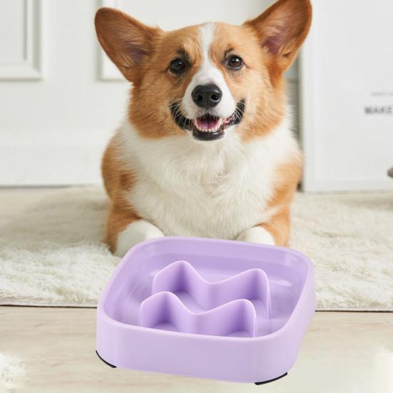 Slow Feeding Pet Bowl Anti-Choking Design Spill-proof Deep Pet Food Dish Square Pet Slow Down Eating Bowl