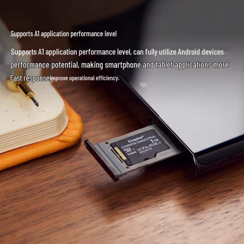 Kingston Canvas Select Plus MicroSD Card