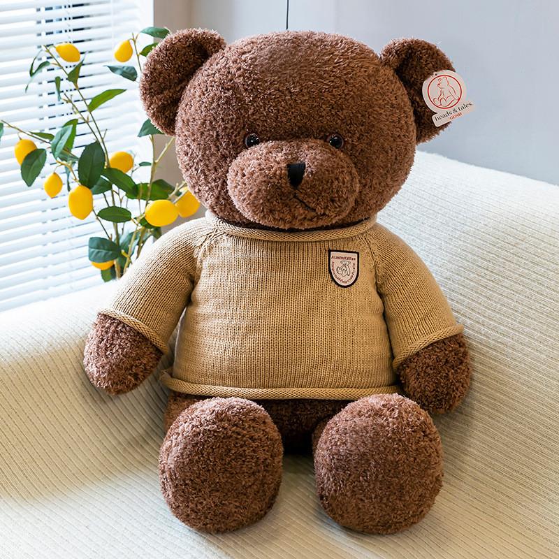 Bear Teddy Cartoon Animal Plush Doll Bear Pillow Soothing Sleep Gift Birthday