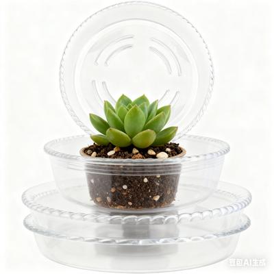 30 Pieces Transparent Plastic Plant Saucers Drip Trays For Flower Pots 15/ 20 /25cm Sizes Garden Tools Accessories