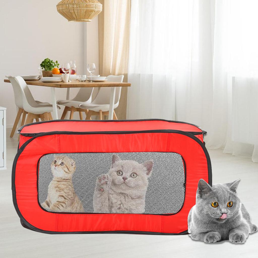 portable pet tent