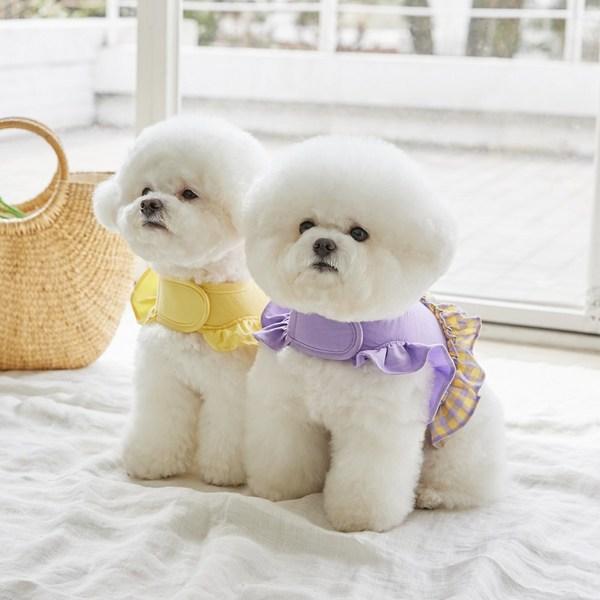 Benny's Pet Picnic Frill Harness, Purple