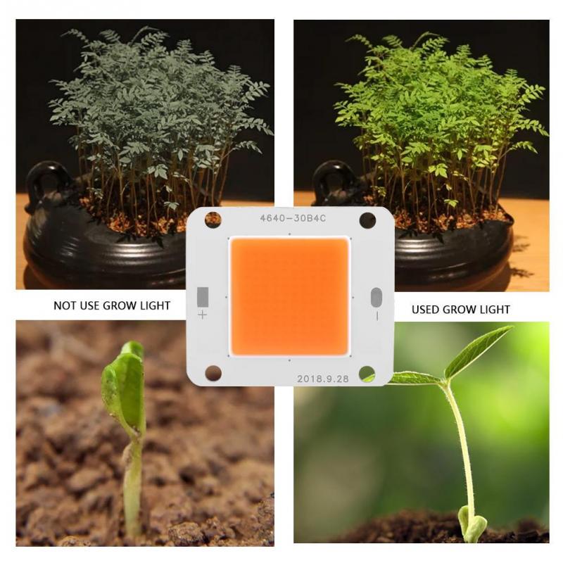 DC12V 50W COB LED Chip Full Spectrum Plant Grow Lamp Light Source