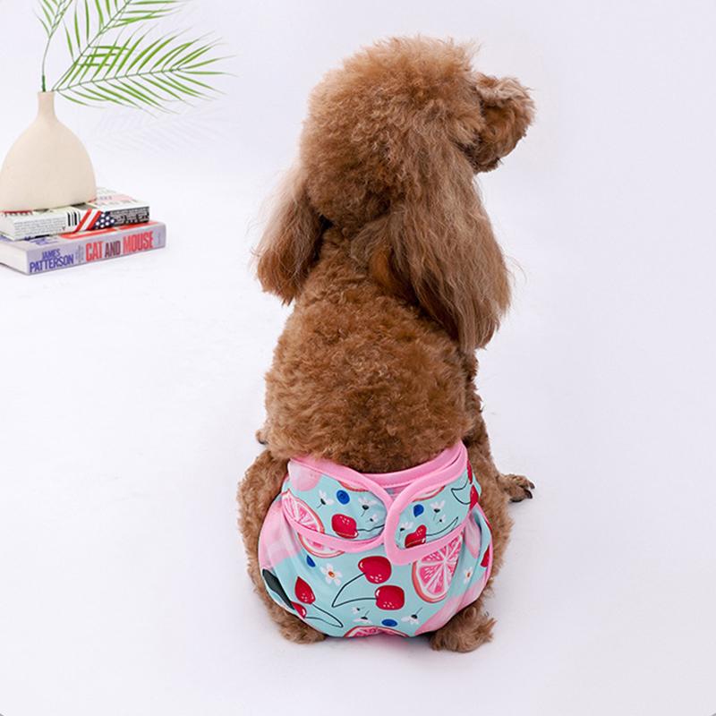 Dog Diapers For Female Dogs Physiological Pant Puppy Panties Shorts Underwear Washable Dog Diper Panties Pet Dog Cat Clothes