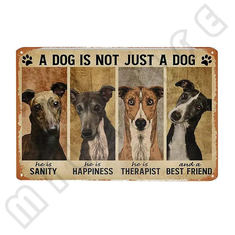 Windhund Metallschild Ich bin dein Freund Ich bin dein Windhund Poster Badezimmerzimmer Küche Garage Zuhause Kunst Wanddekoration