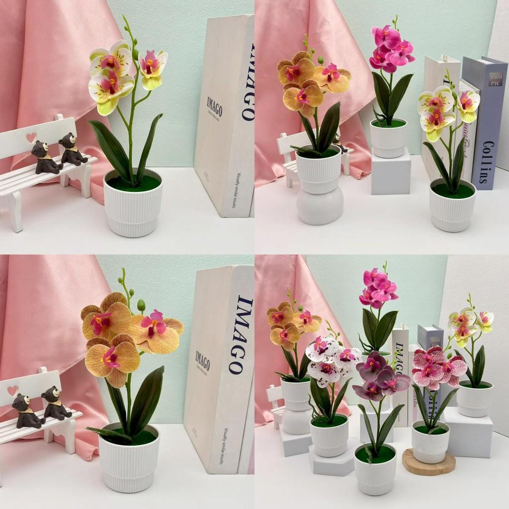 Butterfly Orchid Faux Green Plant For Home Office Decor And Outdoor Events