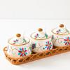 ZISIZ Ceramic Seasoning Jar Set