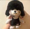 [USED] BIGBANG Official